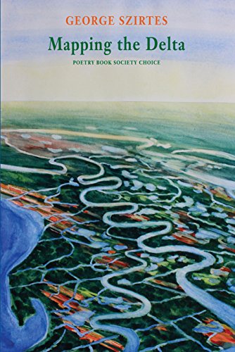 Imagen de archivo de Mapping the Delta a la venta por Better World Books