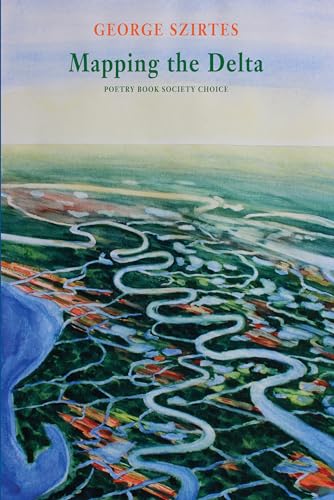 Stock image for Mapping the Delta for sale by Better World Books