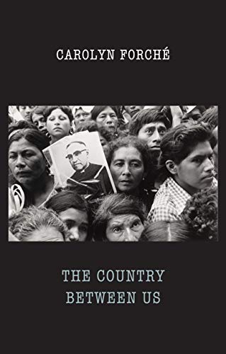 9781780373744: The Country Between Us