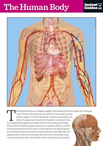 Stock image for The Human Body for sale by Blackwell's