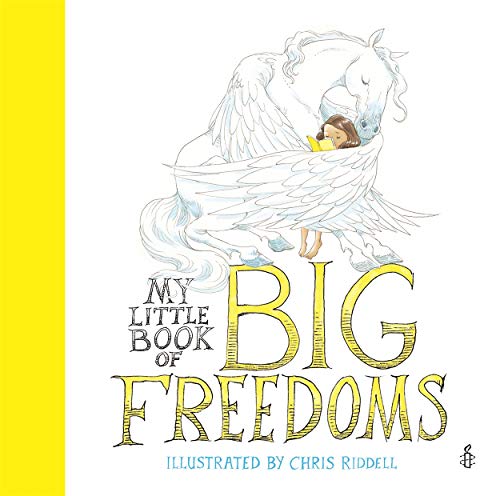 Stock image for My Little Book of Big Freedoms: The Human Rights Act in Pictures for sale by MusicMagpie