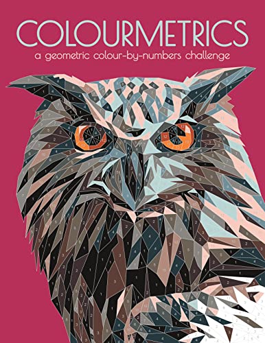 Beispielbild fr Colourmetrics: A Geometric Colour by Numbers Challenge zum Verkauf von WorldofBooks