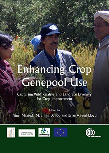 Beispielbild fr Enhancing Crop Genepool Use: Capturing Wild Relative and Landrace Diversity for Crop Improvement zum Verkauf von Cambridge Rare Books