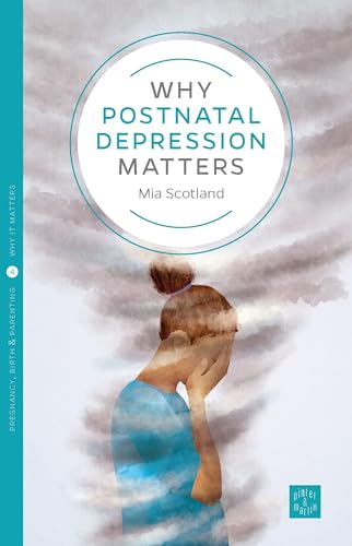 9781780665603: Why Postnatal Depression Matters: 4 (Pinter & Martin Why it Matters)