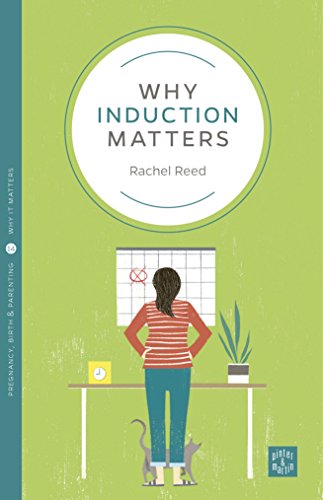 Imagen de archivo de Why Induction Matters (Pinter and Martin Why it Matters) a la venta por Reuseabook