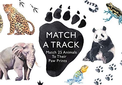 Imagen de archivo de Match a Track: Match 25 Animals to Their Paw Prints (Magma for Laurence King) a la venta por Lakeside Books