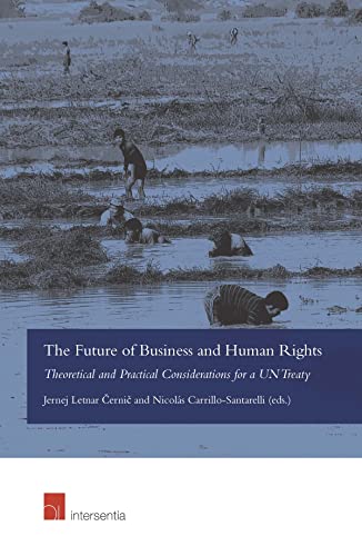 Stock image for The Future of Business and Human Rights: Theoretical and Practical Considerations for a UN Treaty for sale by Phatpocket Limited