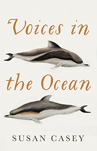 Voices in the Ocean: A Journey into the Wild and Haunting World of Dolphins