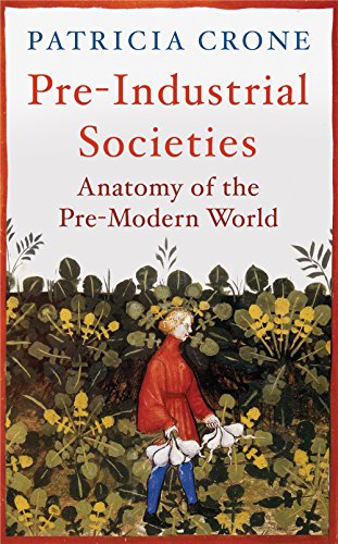 Imagen de archivo de Pre-Industrial Societies: Anatomy of the Pre-Modern World a la venta por GF Books, Inc.