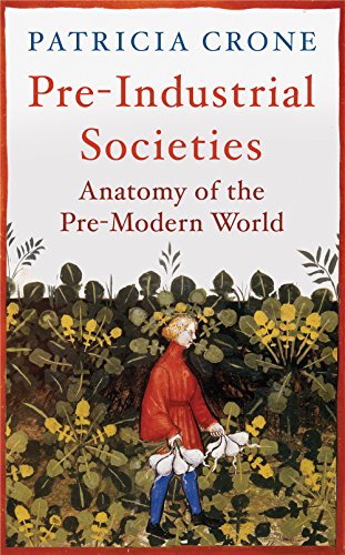 Stock image for Pre-Industrial Societies: Anatomy of the Pre-Modern World for sale by SecondSale