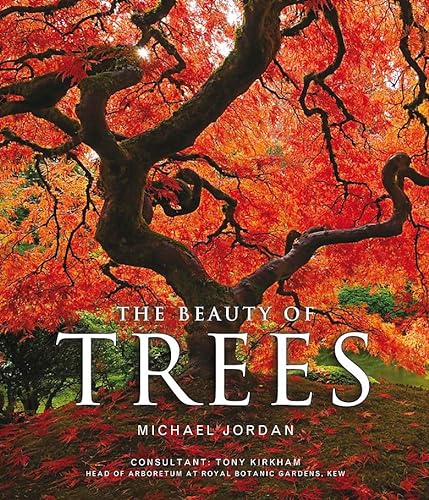 Beispielbild fr The Beauty of Trees zum Verkauf von WorldofBooks