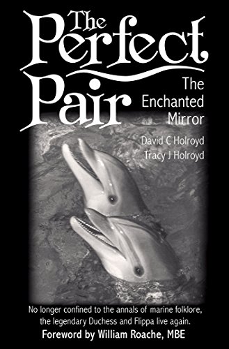 Beispielbild fr The Perfect Pair: The Enchanted Mirror zum Verkauf von WorldofBooks