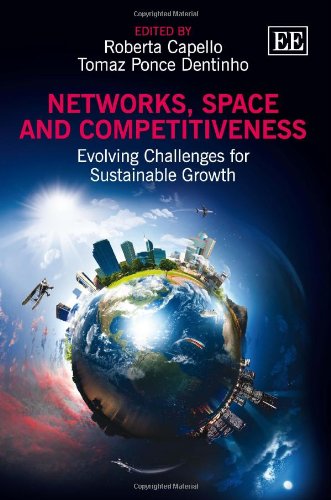 Stock image for Networks, Space and Competitiveness: Evolving Challenges for Sustainable Growth for sale by Henffordd Books