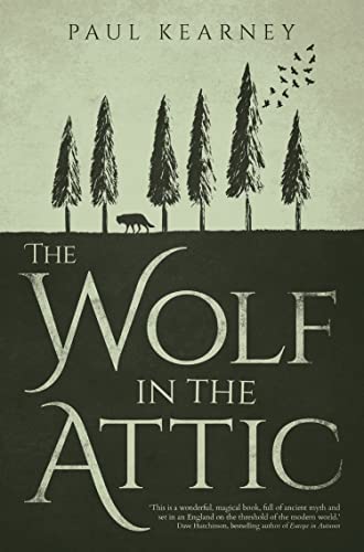 Beispielbild fr The Wolf in the Attic zum Verkauf von Better World Books