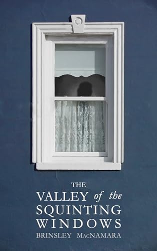 Beispielbild fr The Valley of the Squinting Windows zum Verkauf von Blackwell's