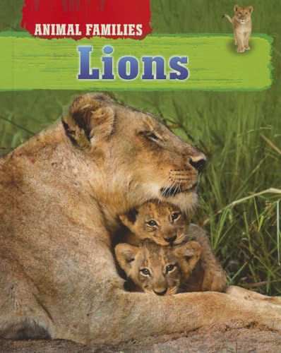 Imagen de archivo de Lions a la venta por ThriftBooks-Dallas