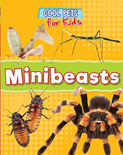 9781781215548: Minibeasts