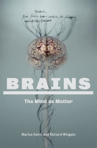 Brains: The Mind as Matter (9781781250402) by Marius Kwint