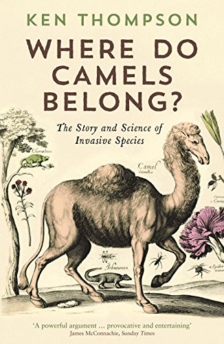Stock image for Where Do Camels Belong? for sale by Blackwell's
