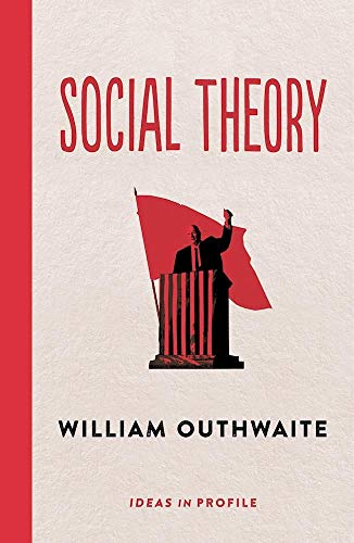 Stock image for Social Theory: Ideas in Profile: Ideas in Profile (Ideas in Profile - small books, big ideas) for sale by WorldofBooks