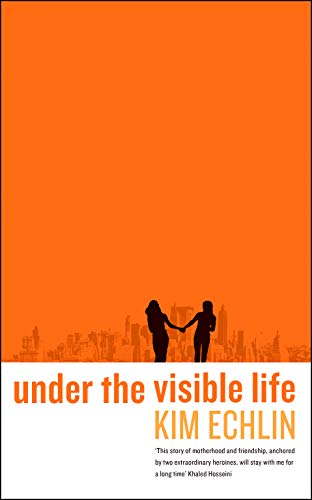 Beispielbild fr Under the Visible Life zum Verkauf von WorldofBooks