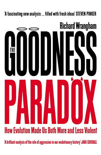 Imagen de archivo de The Goodness Paradox a la venta por Blackwell's