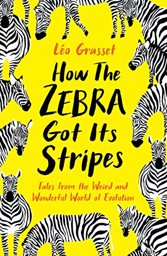 Stock image for How the Zebra Got its Stripes: Tales from the Weird and Wonderful World of Evolution for sale by GF Books, Inc.