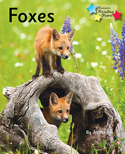 9781781277843: Foxes: Phonics Phase 5 (Reading Stars Phonics)