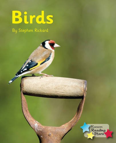 Imagen de archivo de Birds (Reading Stars) a la venta por Chiron Media