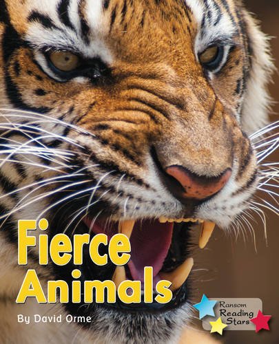 9781781278215: Fierce Animals (Reading Stars)