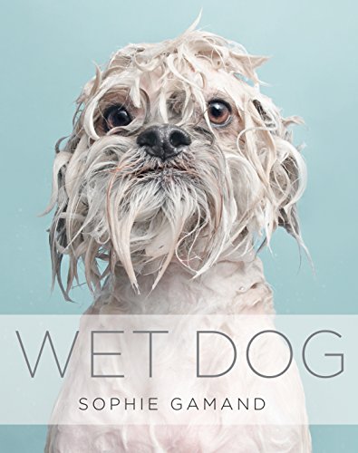 Stock image for Wet Dog for sale by WorldofBooks