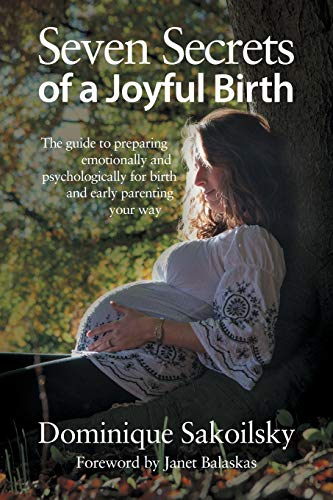 Stock image for Seven Secrets of a Joyful Birth: The guide to preparing emotionally and psychologically for birth and early parenting your way for sale by Greener Books