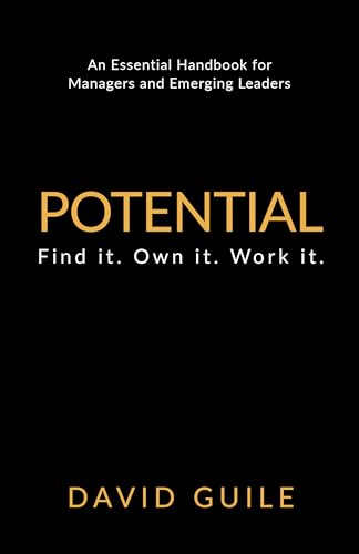 Beispielbild fr Potential: Find it. Own it. Work it. zum Verkauf von WorldofBooks