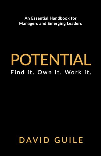 9781781332276: Potential: Find it. Own it. Work it.
