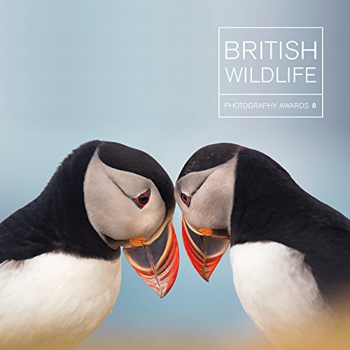 Imagen de archivo de British Wildlife Photography Awards 8 a la venta por WorldofBooks