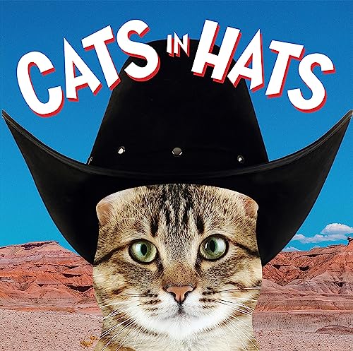 Stock image for Cats in Hats for sale by Books Unplugged