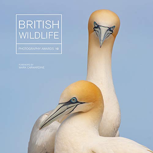 Beispielbild fr British Wildlife Photography Awards 10 zum Verkauf von PBShop.store UK