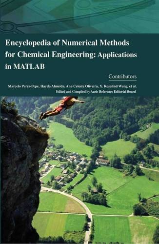 Imagen de archivo de Encyclopaedia Of Numerical Methods For Chemical Engineering: Applications In Matlab (4 Volumes set) a la venta por Romtrade Corp.