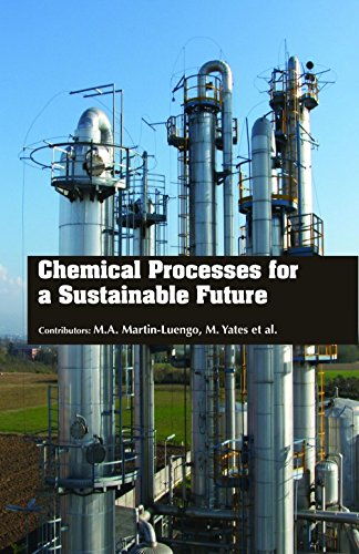 Stock image for Chemical Processes For A Sustainable Future (Hb 2017) for sale by Basi6 International