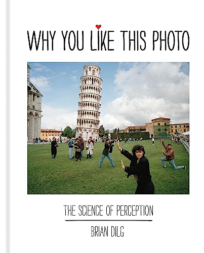 Imagen de archivo de Why You Like This Photo: The science of perception a la venta por WorldofBooks