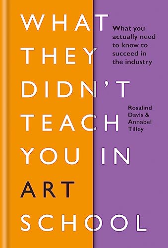 Imagen de archivo de What They Didn't Teach You In Art School: What you need to know to survive as an artist a la venta por PlumCircle