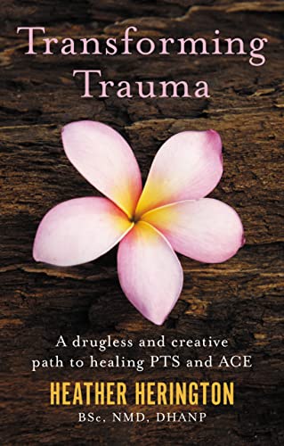 Beispielbild fr Transforming Trauma: A drugless and creative path to healing PTS and ACE zum Verkauf von WorldofBooks