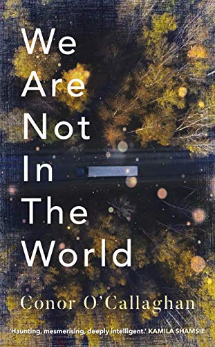 Stock image for We Are Not in the World: compelling and profoundly moving Irish Times for sale by WorldofBooks