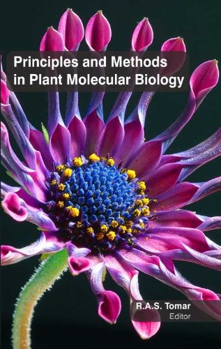 Stock image for Principles And Methods In Plnat Molecular Biology (Hb 2017) for sale by Basi6 International