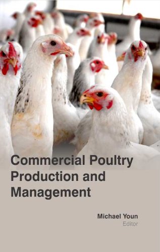 Stock image for Commercial Poultry Lproduction And Management (Hb 2017) for sale by Basi6 International