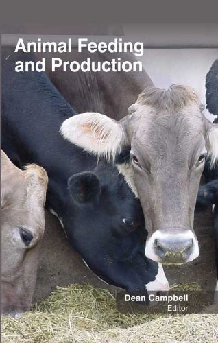 Stock image for Animal Feeding And Production (Hb 2017) for sale by Basi6 International