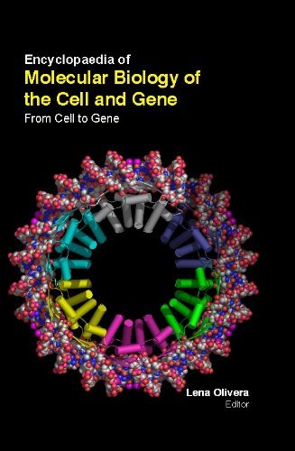 Imagen de archivo de Encyclopaedia of Molecular Biology of the Cell & Gene a la venta por Books Puddle