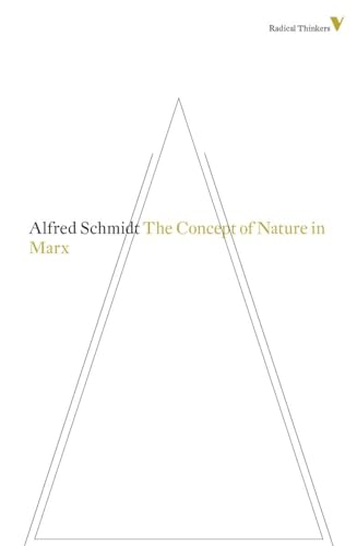 Beispielbild fr The Concept of Nature in Marx (Radical Thinkers) zum Verkauf von BooksRun