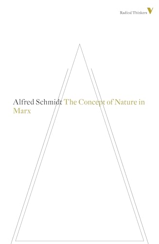 Imagen de archivo de The Concept of Nature in Marx a la venta por Blackwell's