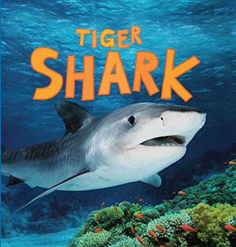 Discover Sharks: Tiger Shark (9781781710715) by De La Bedoyere, Camilla